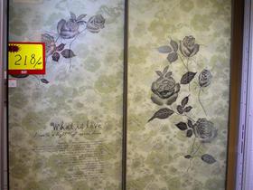 衣柜趟门. 花梦