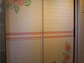 衣柜趟门. 经典十四